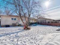 40 263 Williston Drive