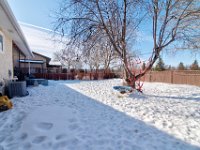 41 263 Williston Drive